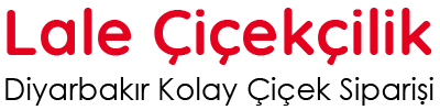 Diyarbakır Çiçekçi Lale Çiçekçilik