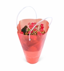 Çantalı Kırmızı Kalanchoe