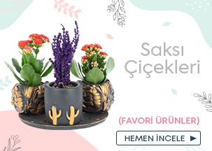 Öneçıkan Ürün