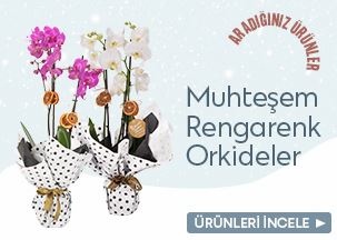 Öneçıkan Ürün
