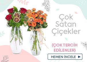 Öneçıkan Ürün