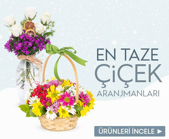 Öneçıkan Ürün